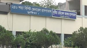 কুষ্টিয়ায়  ট্রাকের পেছনে পিকআপের ধাক্কায় ৩ ঘোড়াসহ ২ জন নিহত